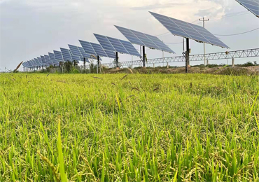 55kw نظام المضخات الشمسية في كمبوديا